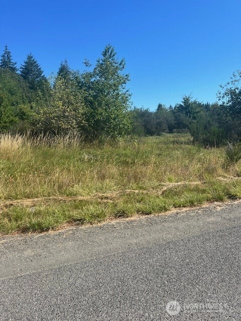 306 Garden Hill Rd E Elma WA 98541