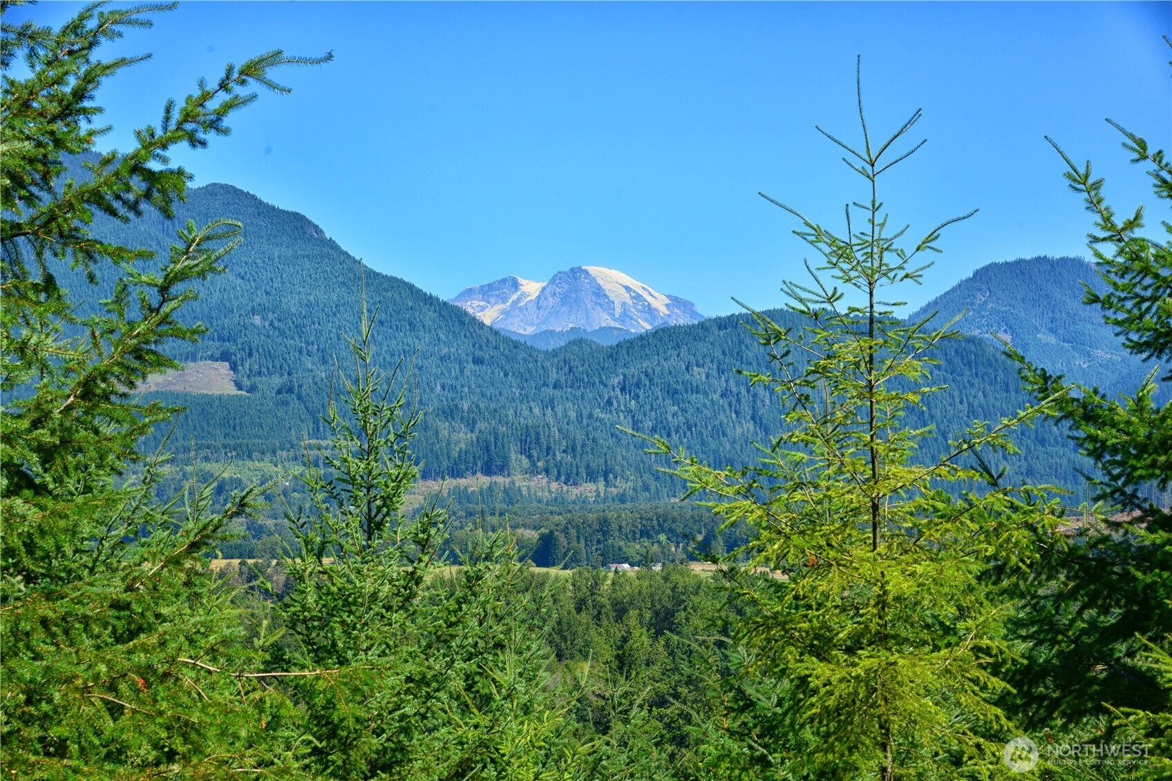 1 Skinner Rd Unit  Randle WA 98377