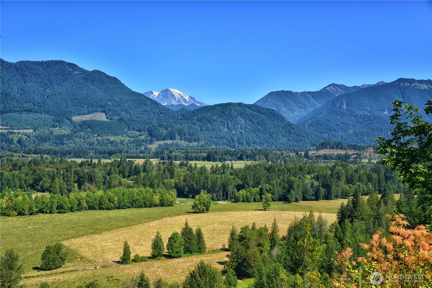 3 Skinner Rd Unit  Randle WA 98377