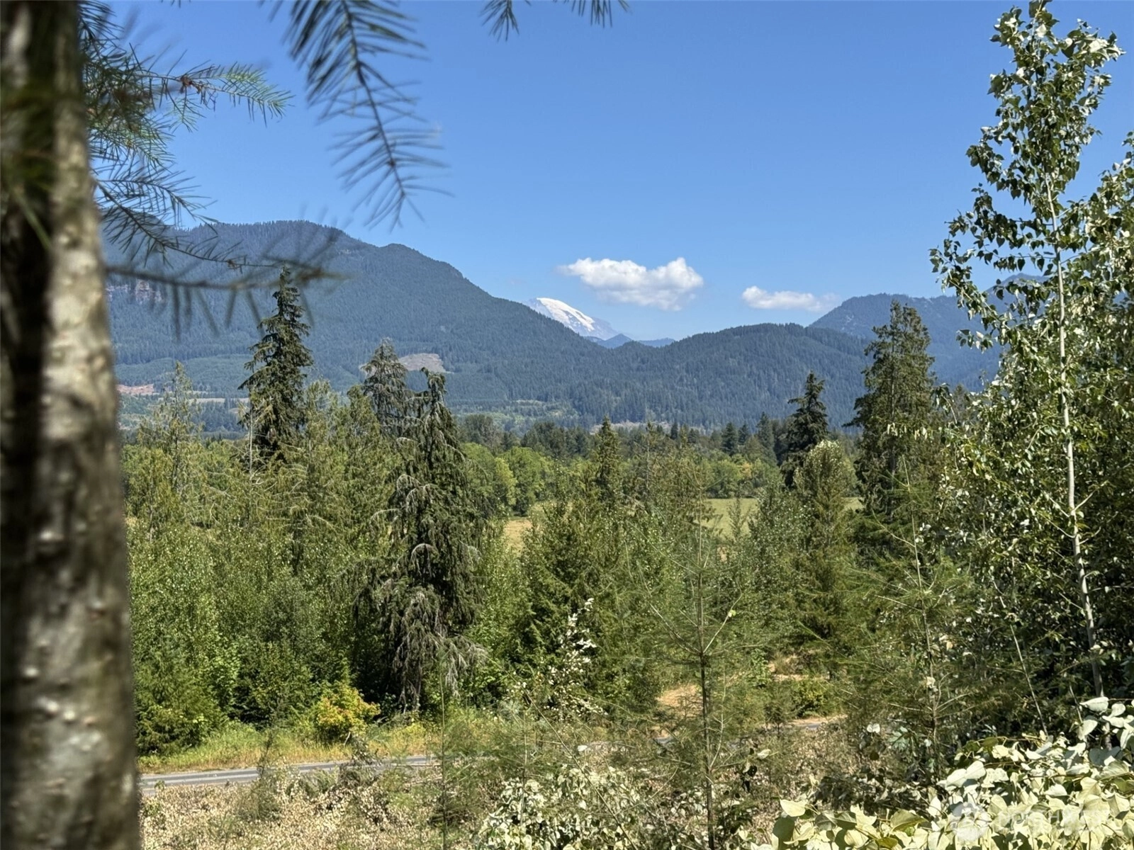 4 Skinner Rd Unit  Randle WA 98377