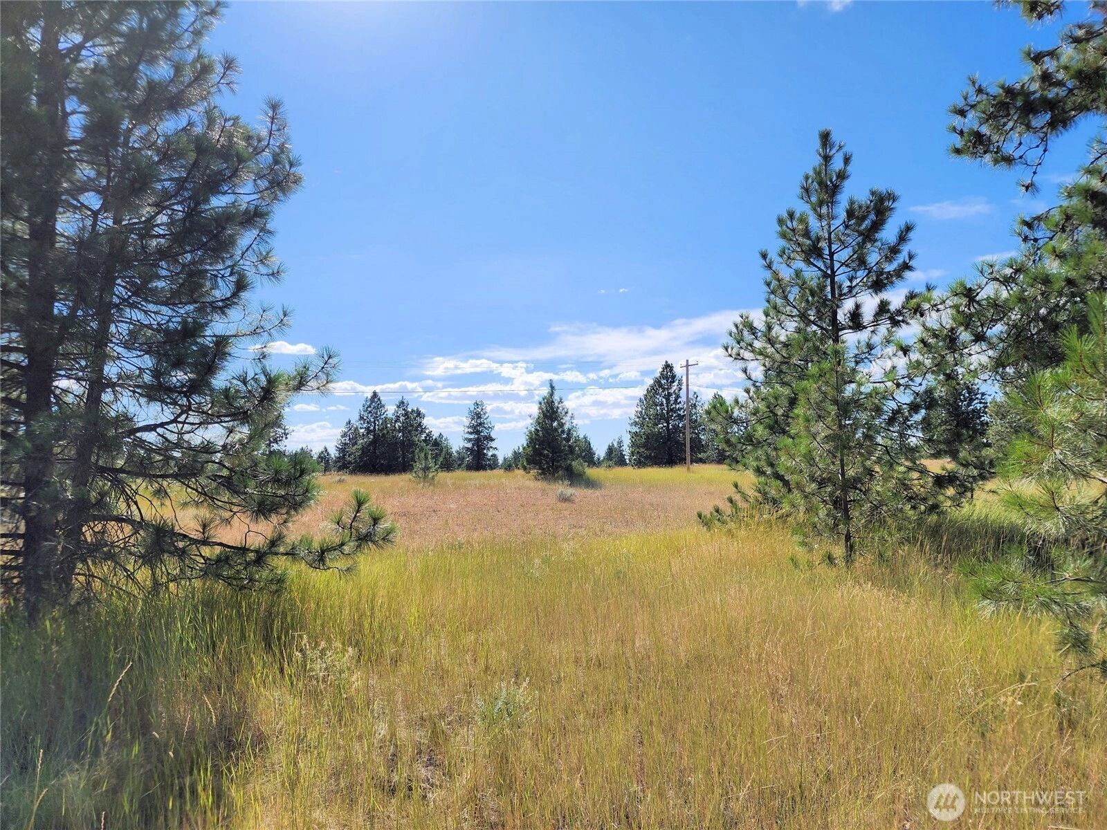 Bachelor Flats Dr N Creston WA 99117