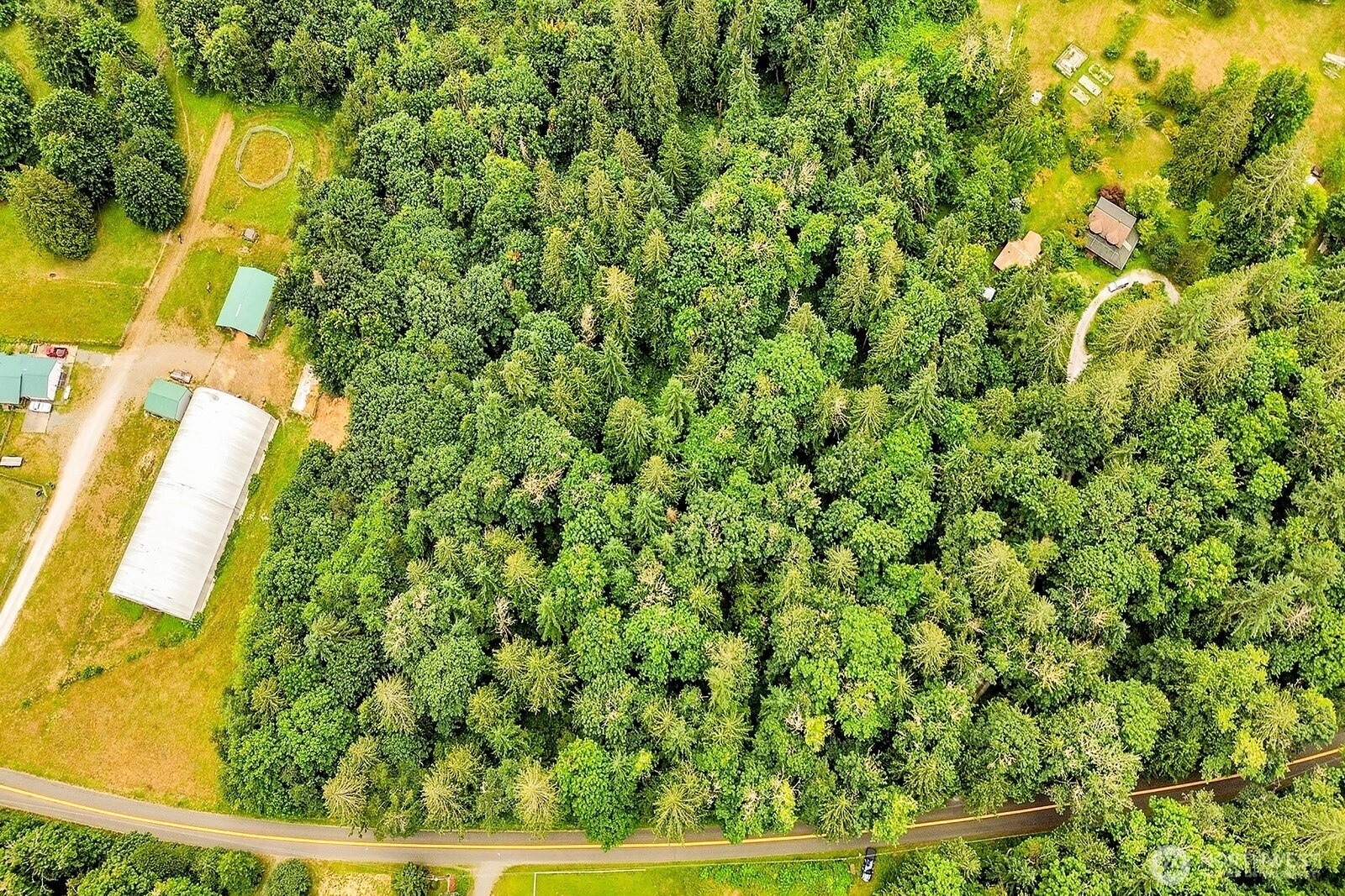 Reese Hill Rd Sumas WA 98295