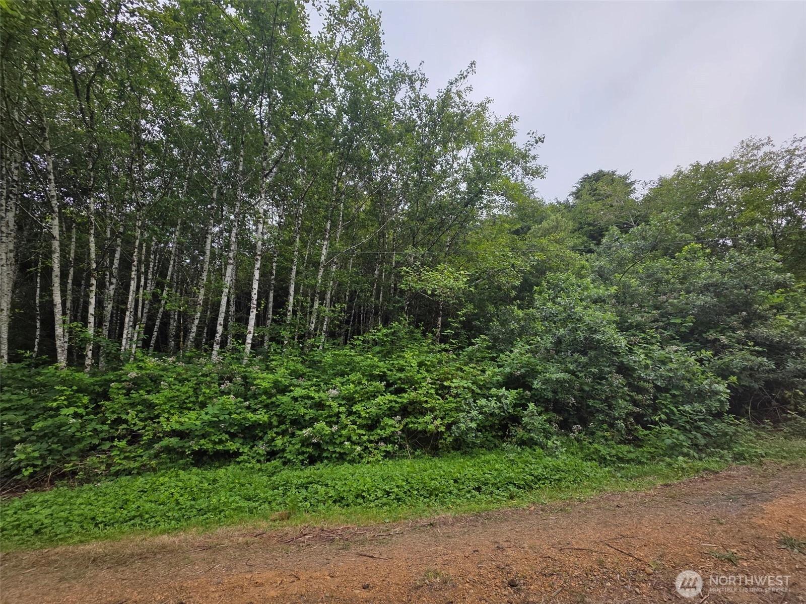 Viewcrest Rd Copalis Beach WA 98535