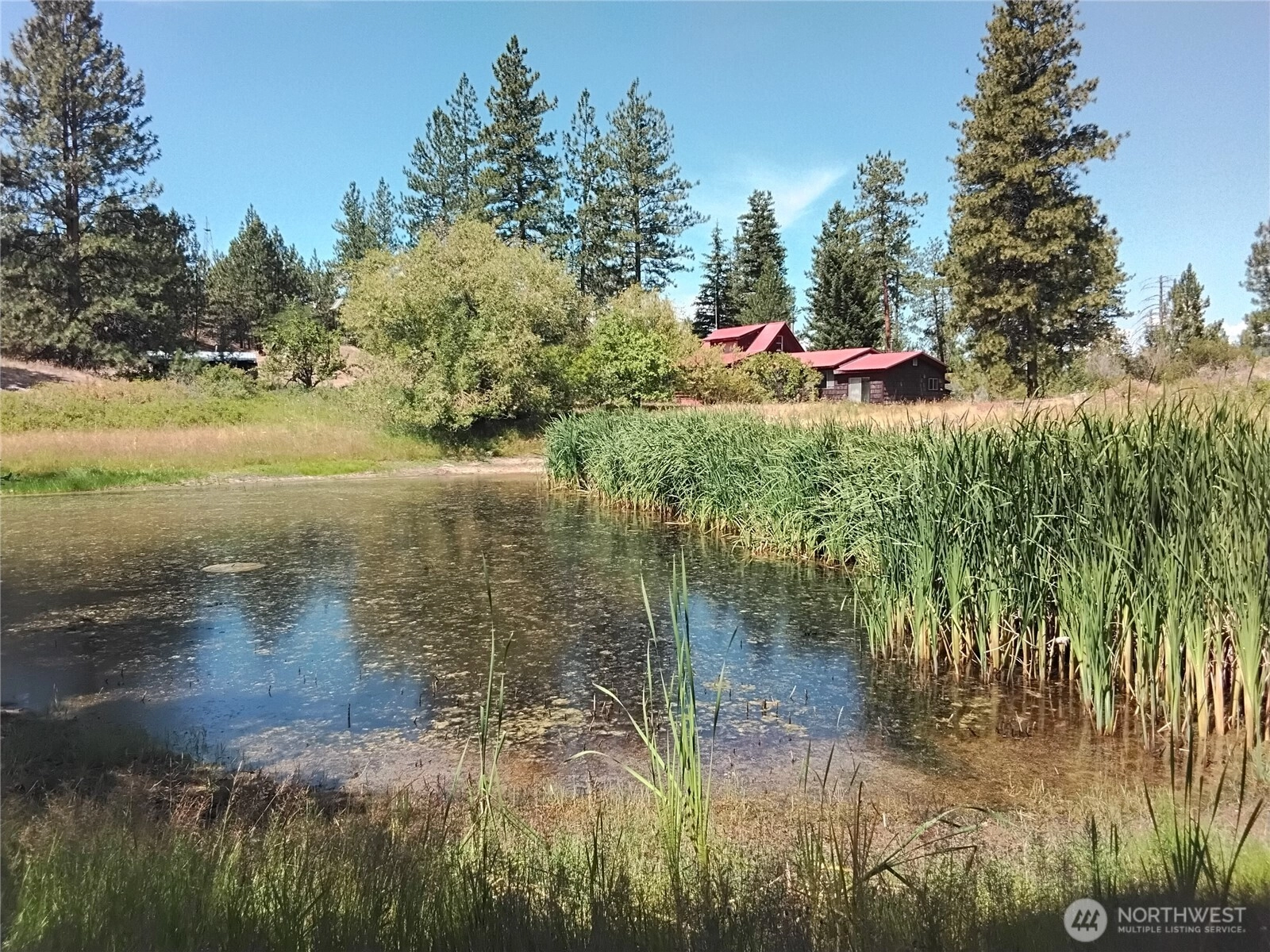 41 Balsam Dr Tonasket WA 98855