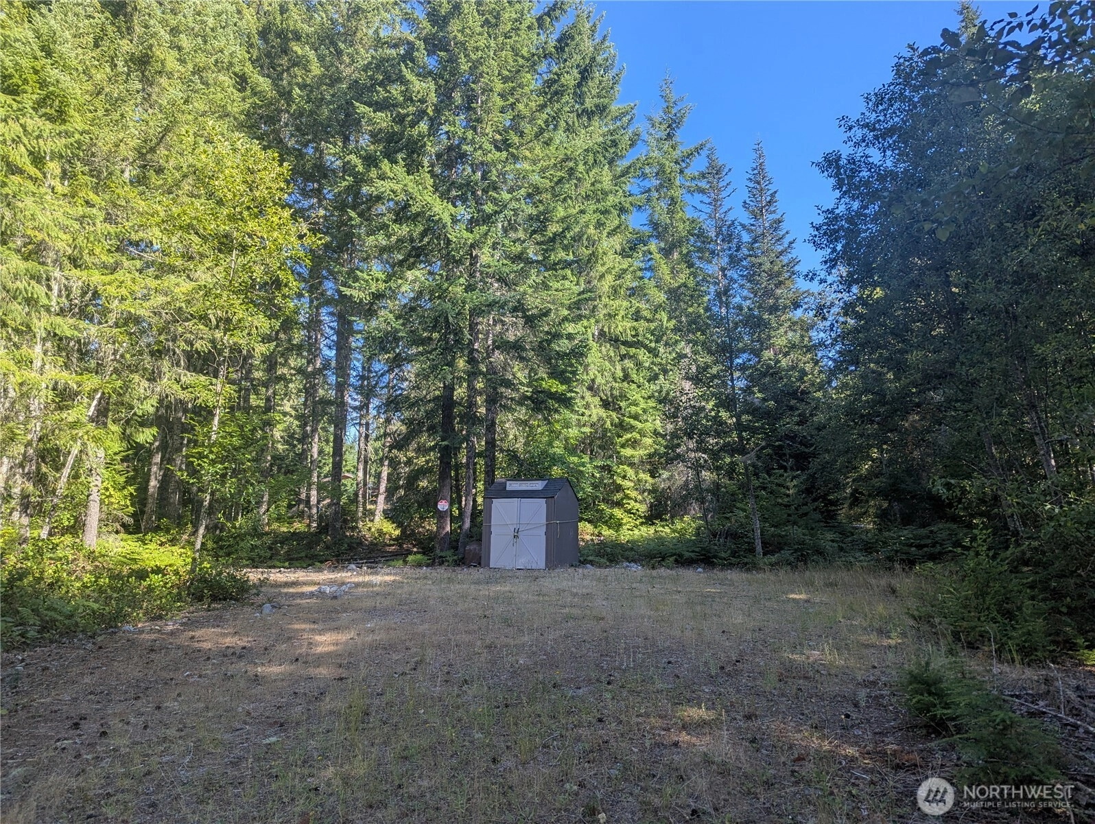 30 Nymark Dr Cougar WA 98616