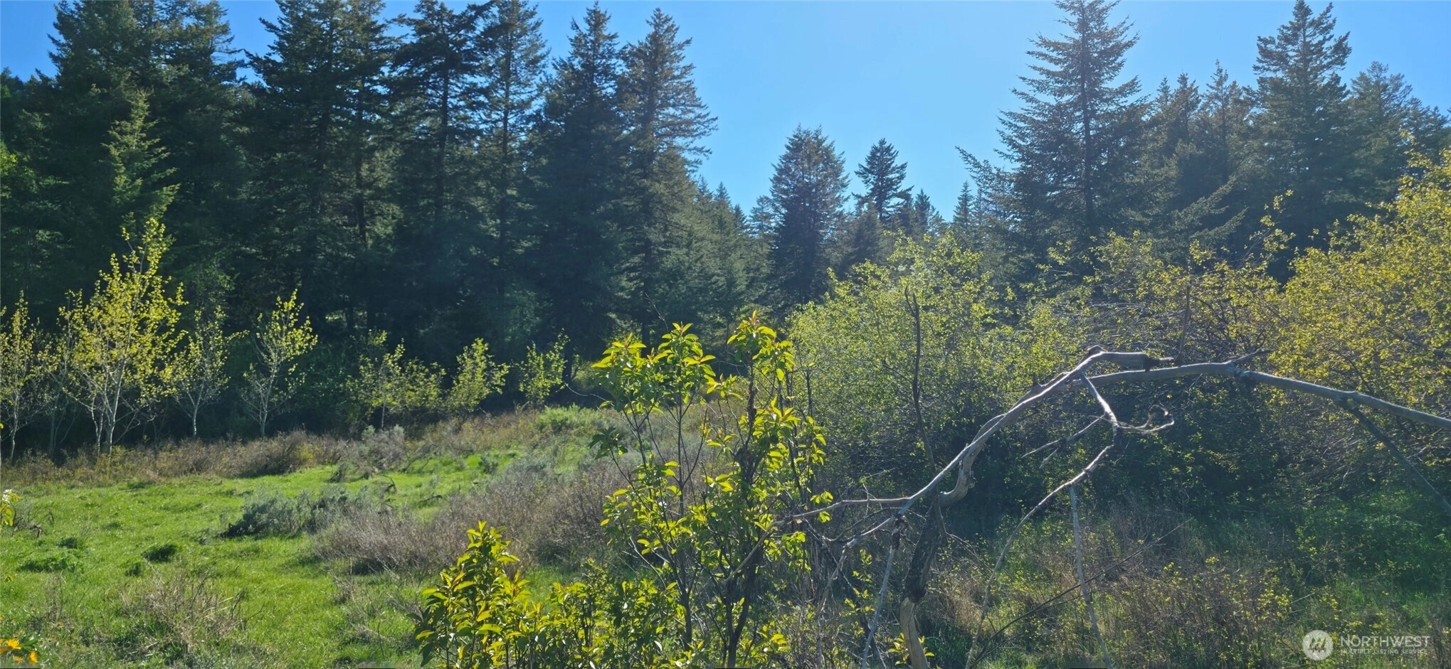 112 Ellemeham Mtn Oroville WA 98844