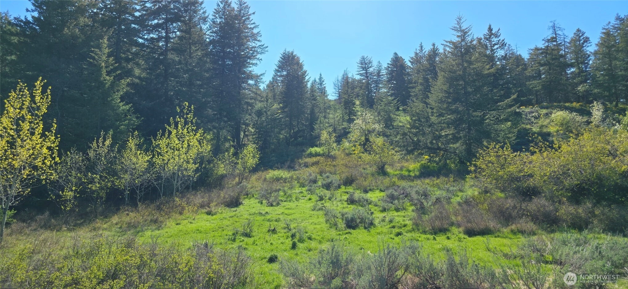 113 Ellemeham Mtn Oroville WA 98844