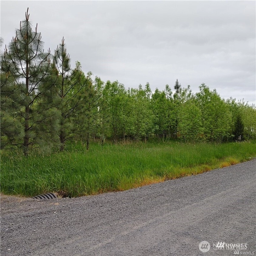 Nicholson Rd Toledo WA 98591