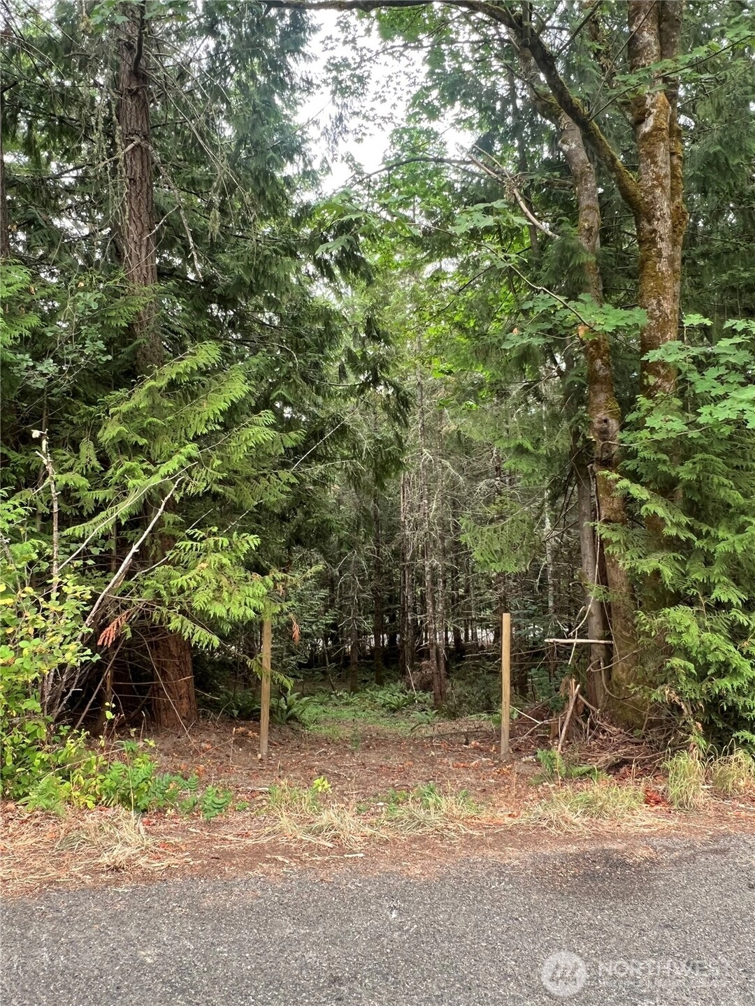 5503 Lackey Ct NW Vaughn WA 98394