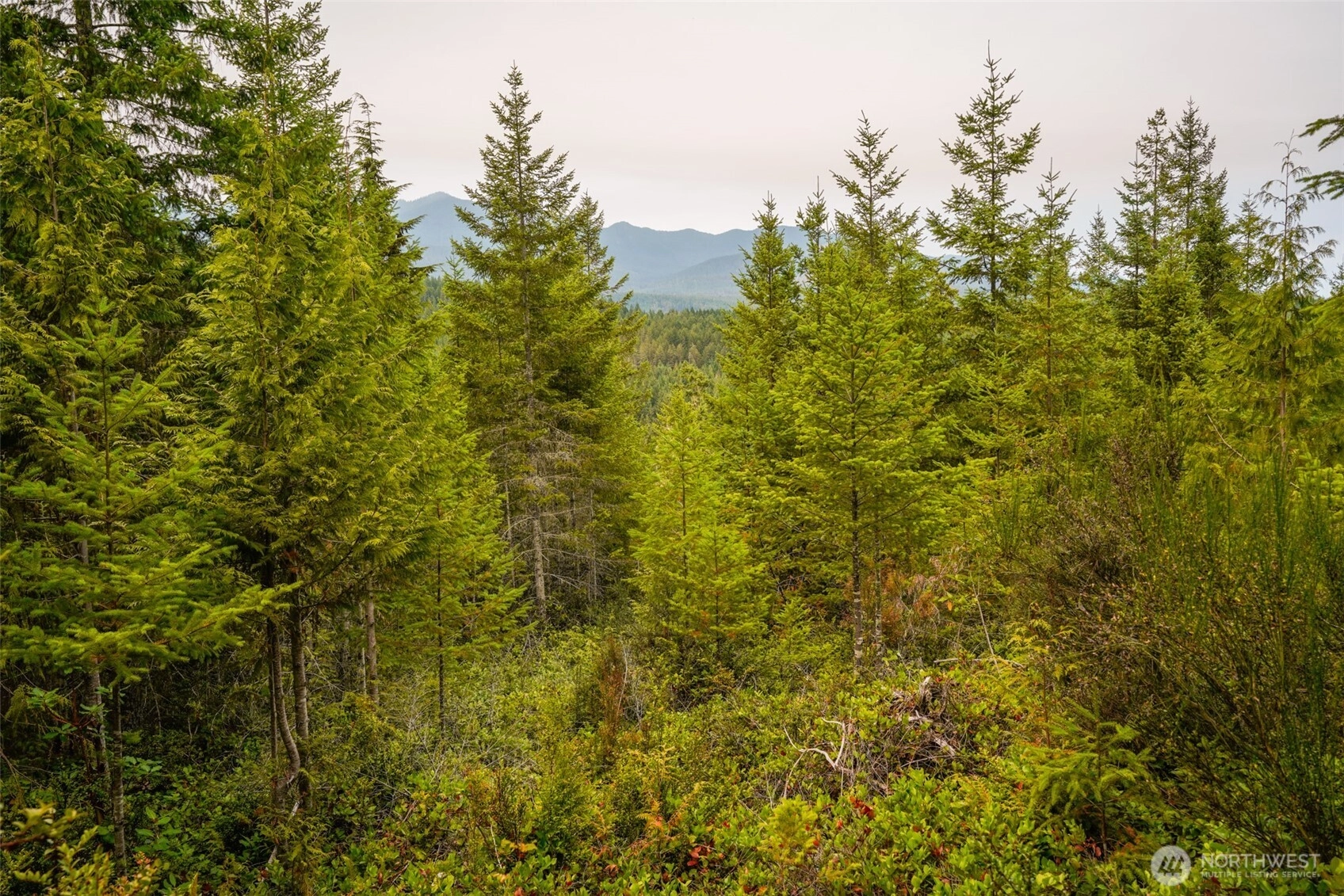 N Hamma Ridge Ct Lilliwaup WA 98555