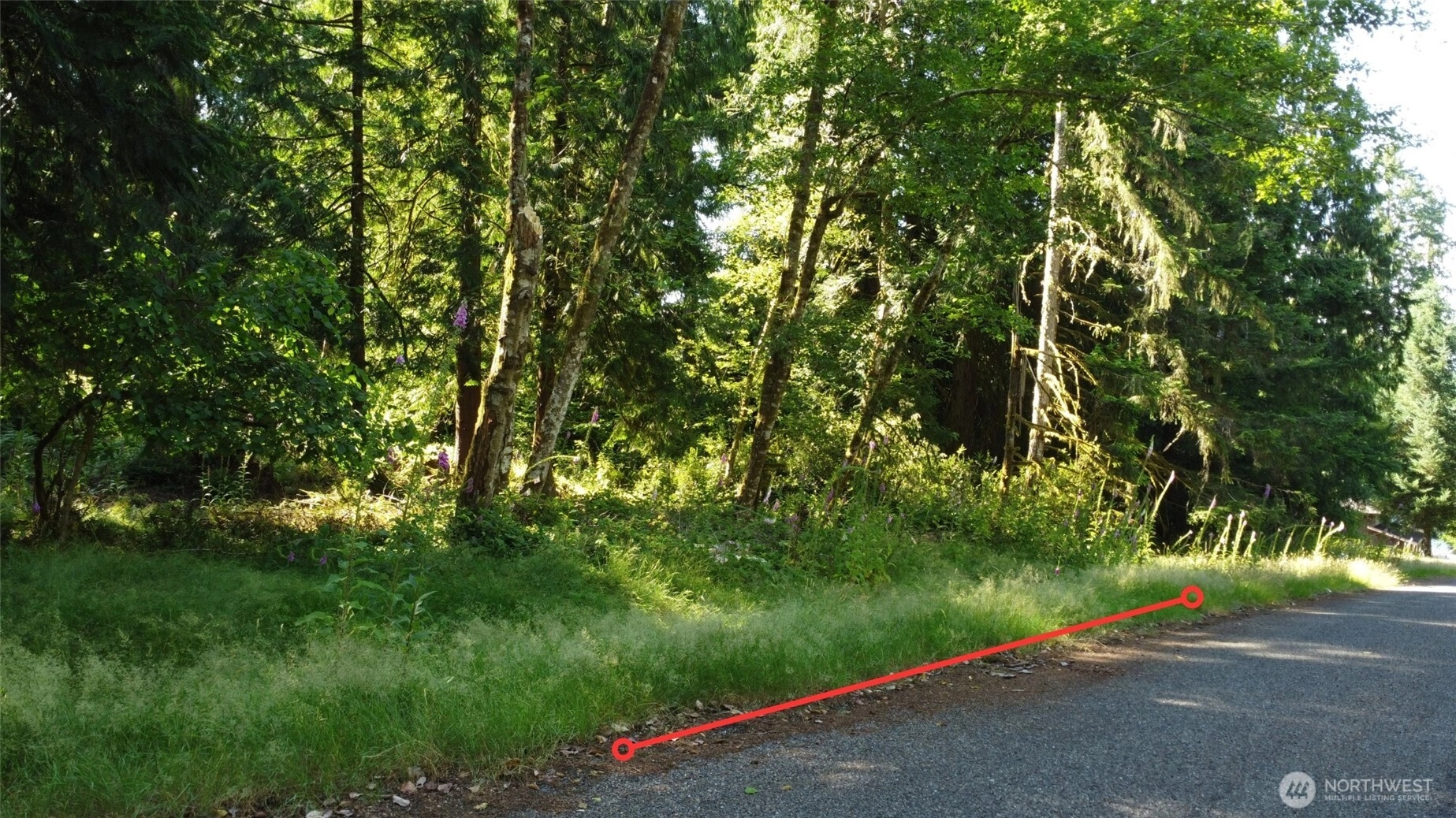 10114 Selma Cir Anderson Island WA 98303