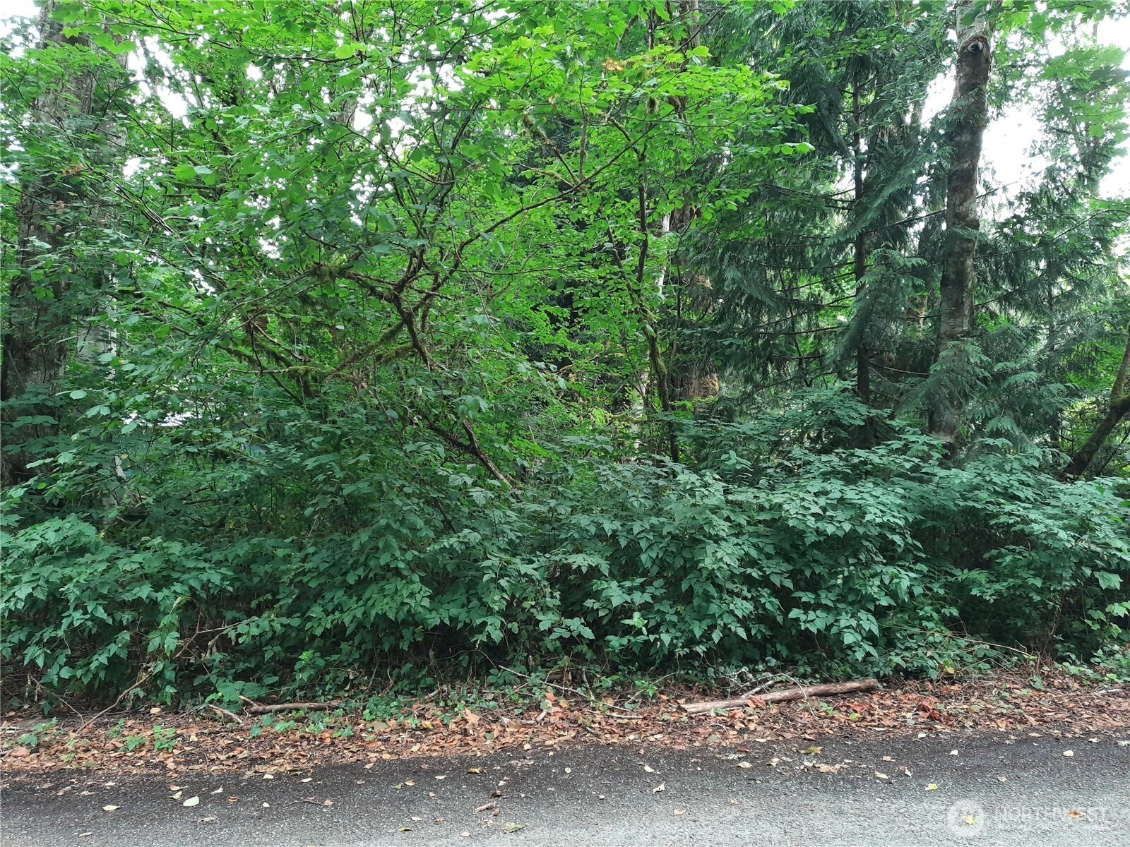 Spruce St Unit  Concrete WA 98237