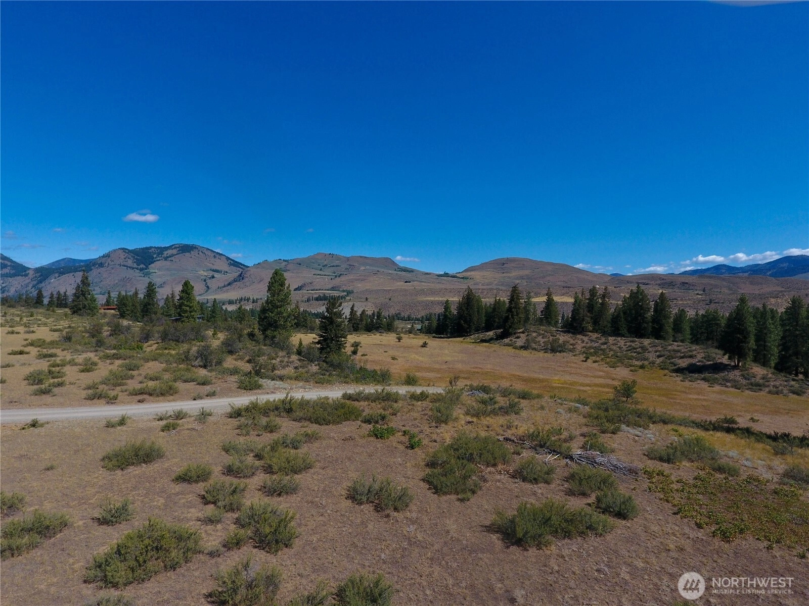 1 Perrow Dr Unit  Winthrop WA 98862