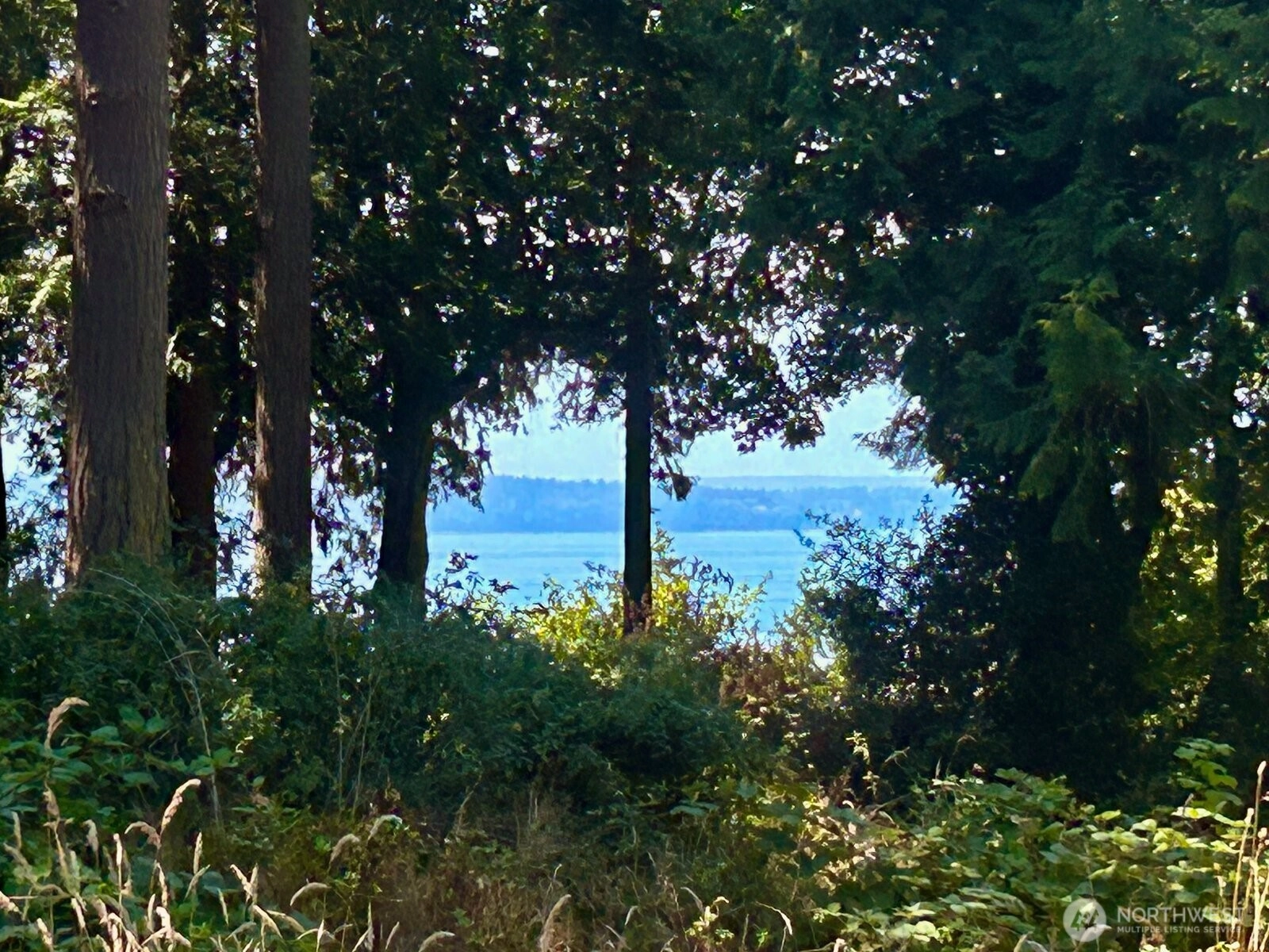 8175 Mossy Rock Rd Clinton WA 98236