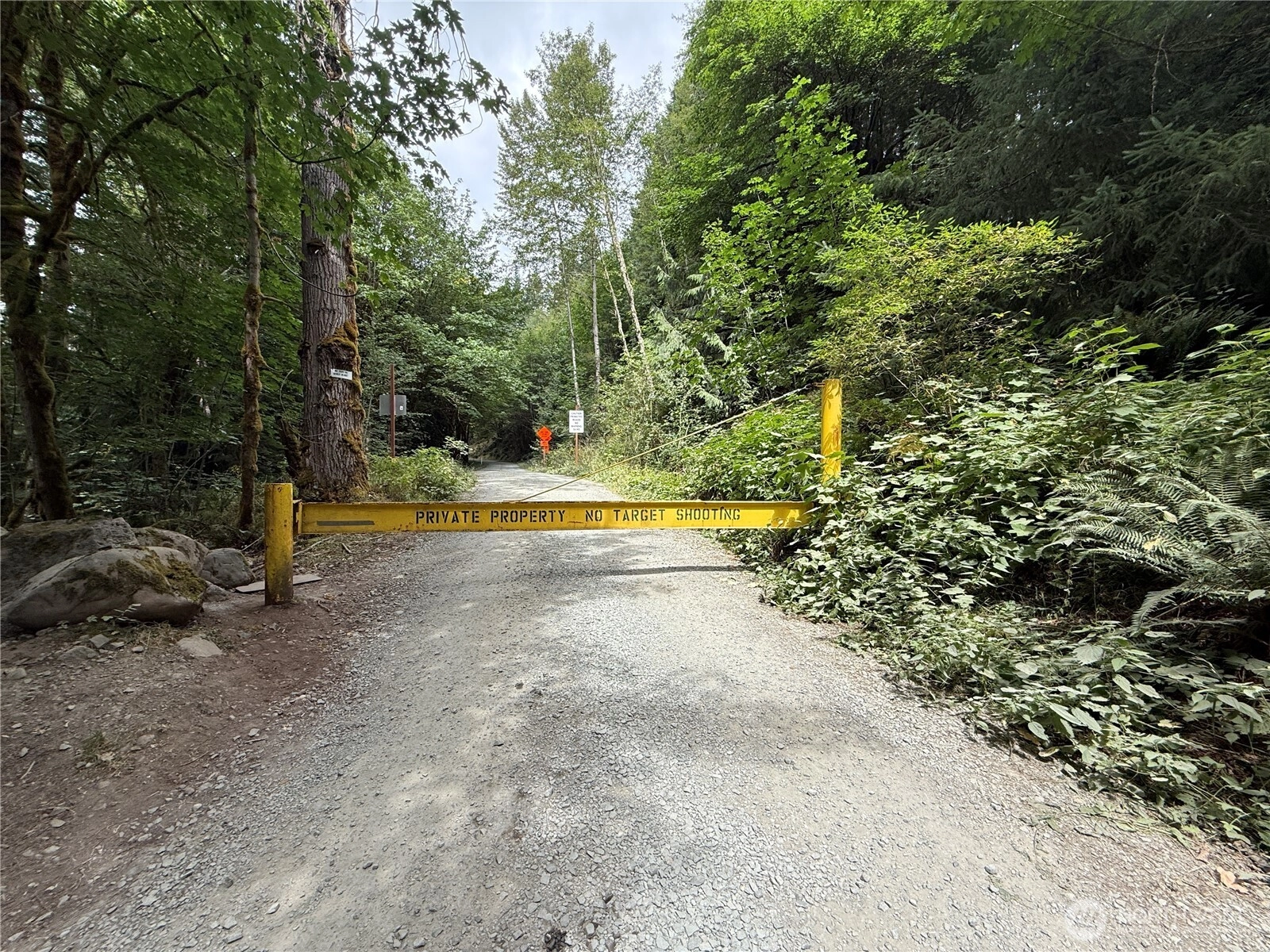 327 xx Kolisch Rd E Carbonado WA 98323