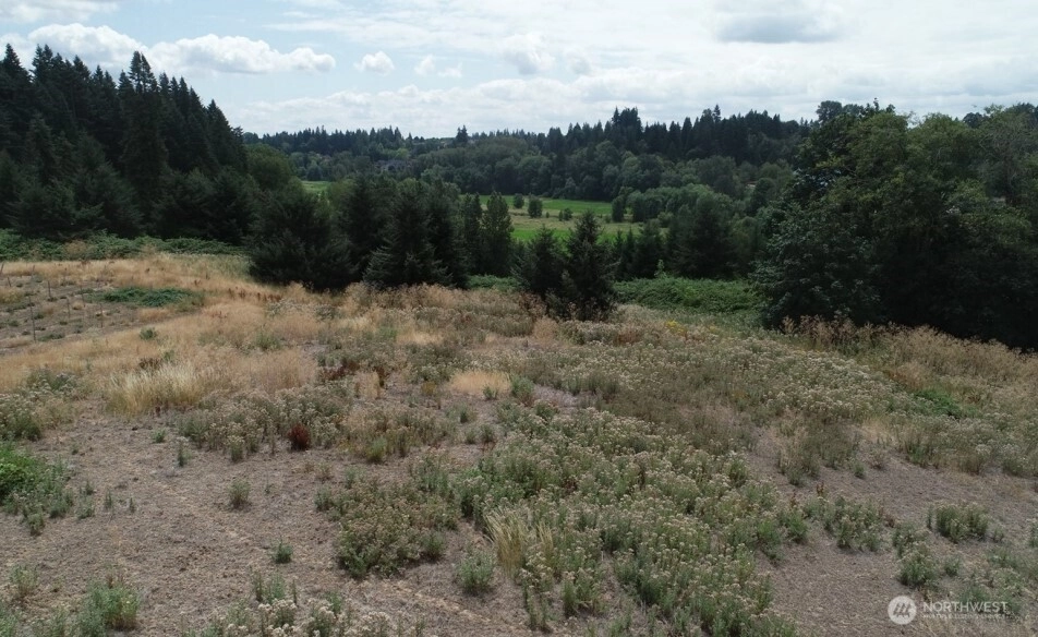 NW 169th St Unit  Ridgefield WA 98642