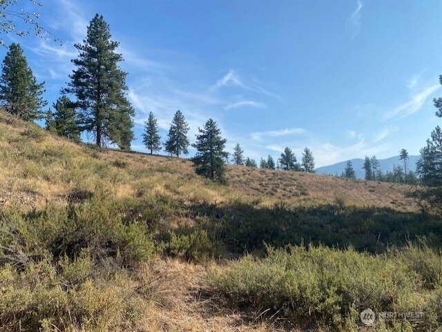 0 xxx Tbd Winthrop WA 98862