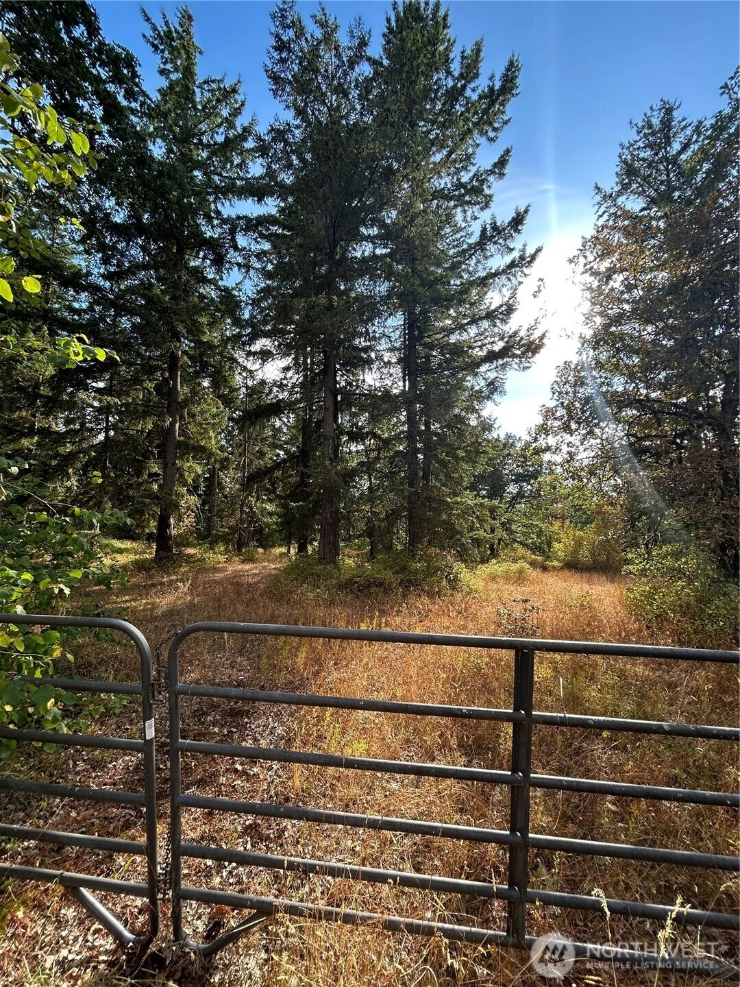 17837 Sargent Rd SW Rochester WA 98579