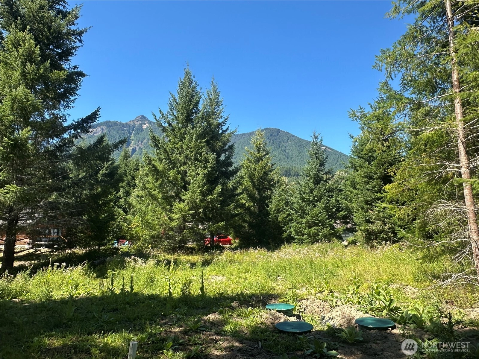 109 Jack Fir Ct W Packwood WA 98361