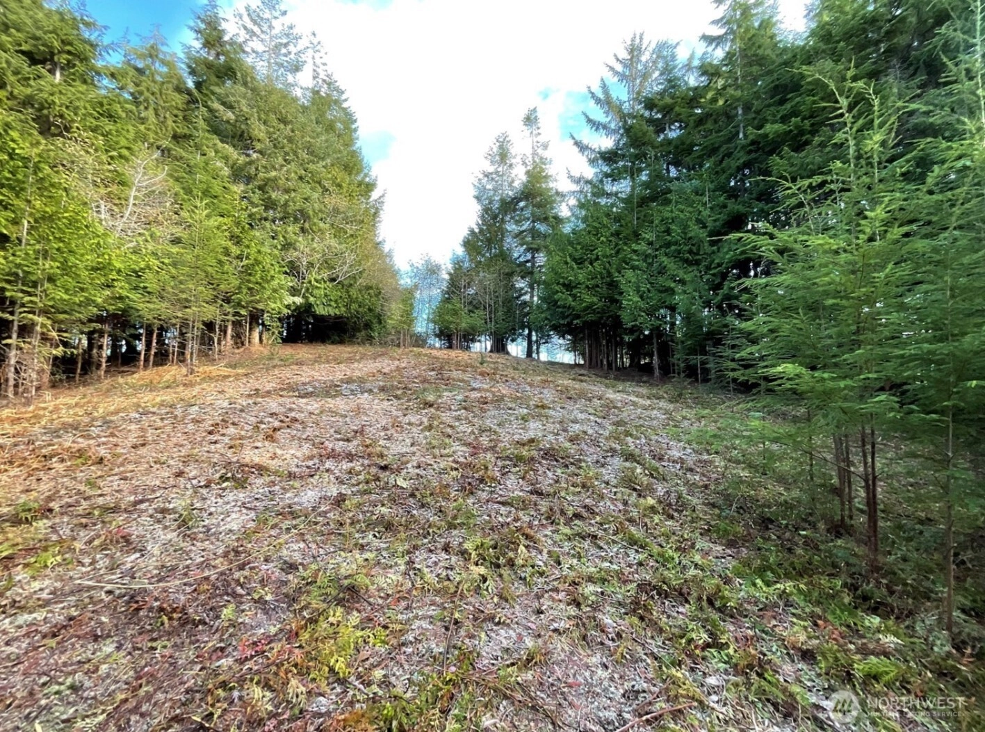 29 Spruce Ct Unit  South Bend WA 98586