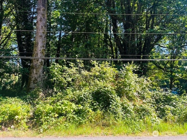 2 Lot Cape Horn Dr Unit  Concrete WA 98237