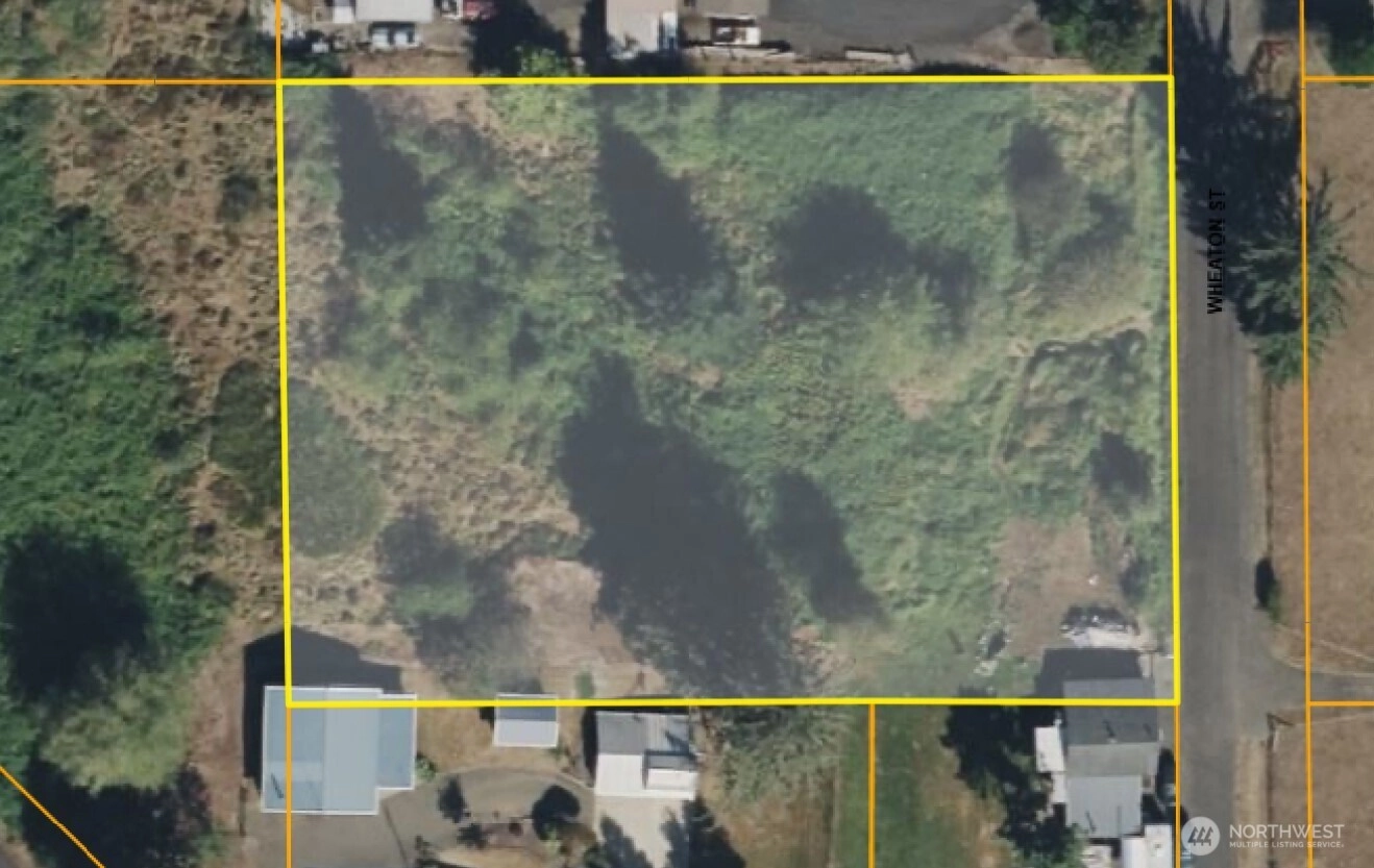 0 X Wheaton St Raymond WA 98577