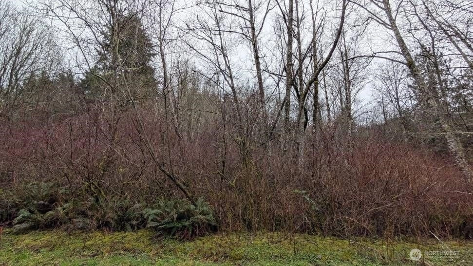 NE Lovgreen Rd Bainbridge Island WA 98110