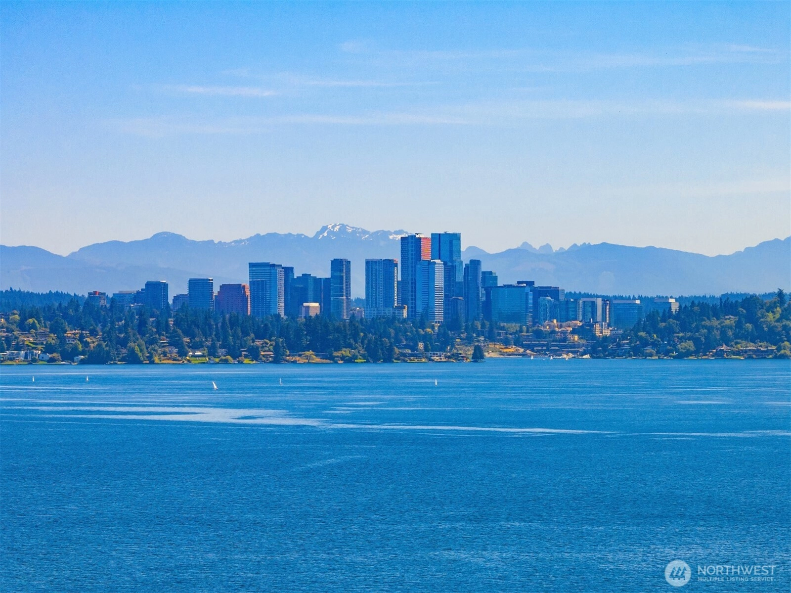 1117 Lake Washington Blvd S Seattle WA 98144
