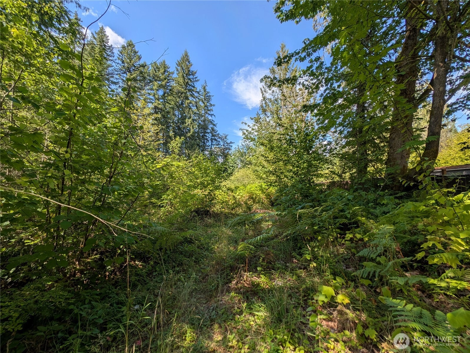 46017 Baker Dr Concrete WA 98237