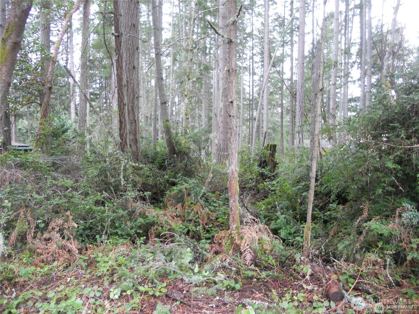 10424 107th Ave Ct Anderson Island WA 98303