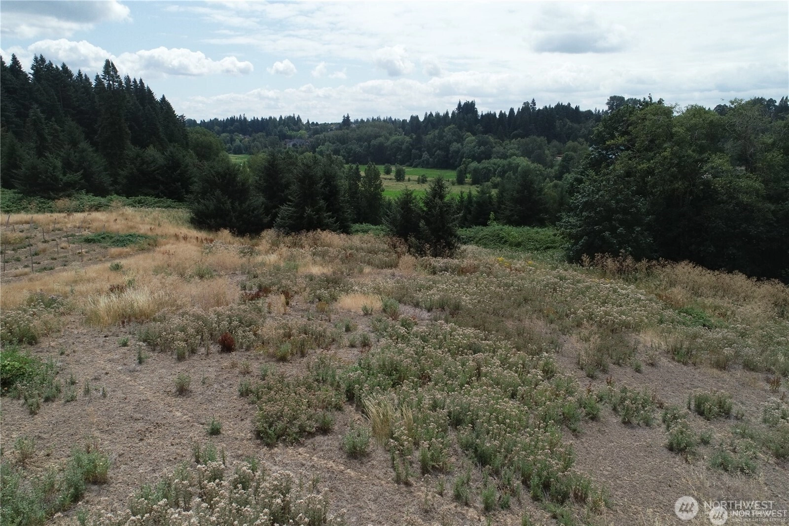 NW 169th St Unit  Ridgefield WA 98642