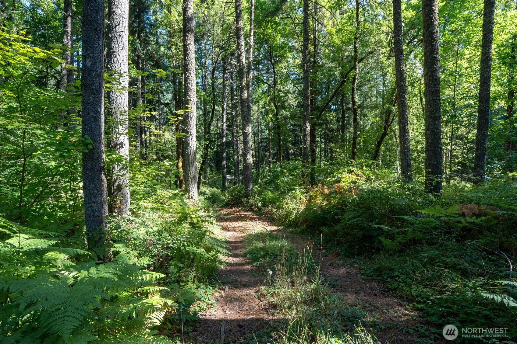 16404 Village Dr SE Rainier WA 98576
