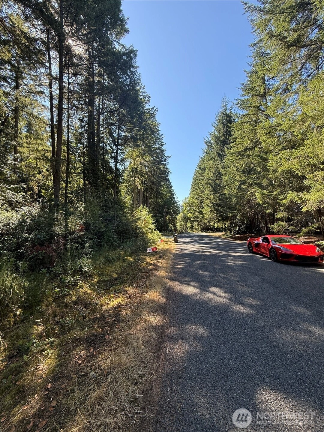 12904 Silver Dr Anderson Island WA 98303
