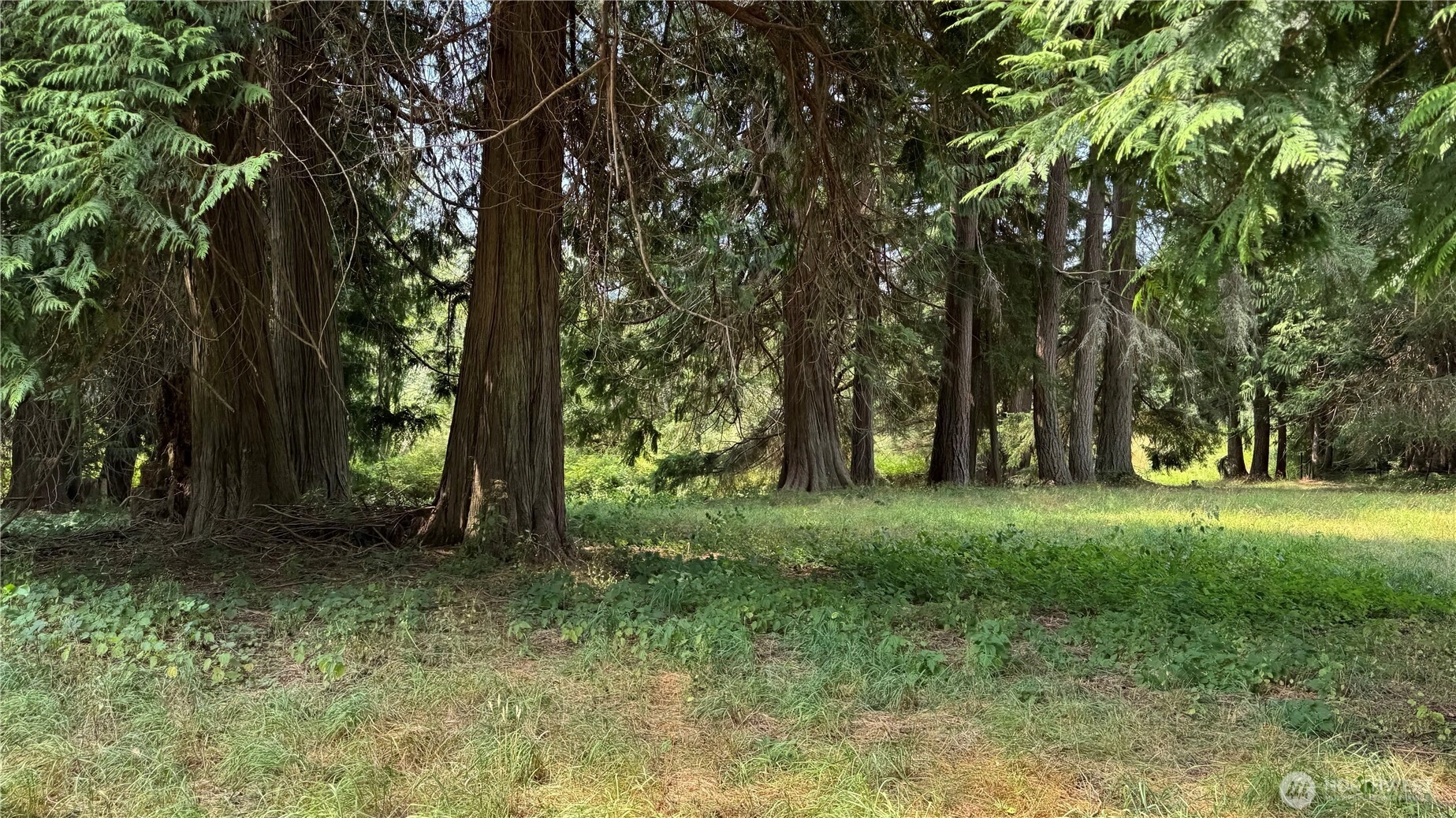 Chris Lane Ln NE Kingston WA 98346