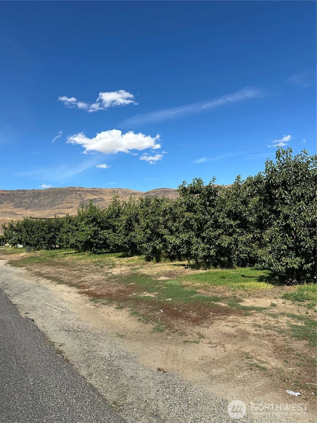 559 S Webb Ave East Wenatchee WA 98802