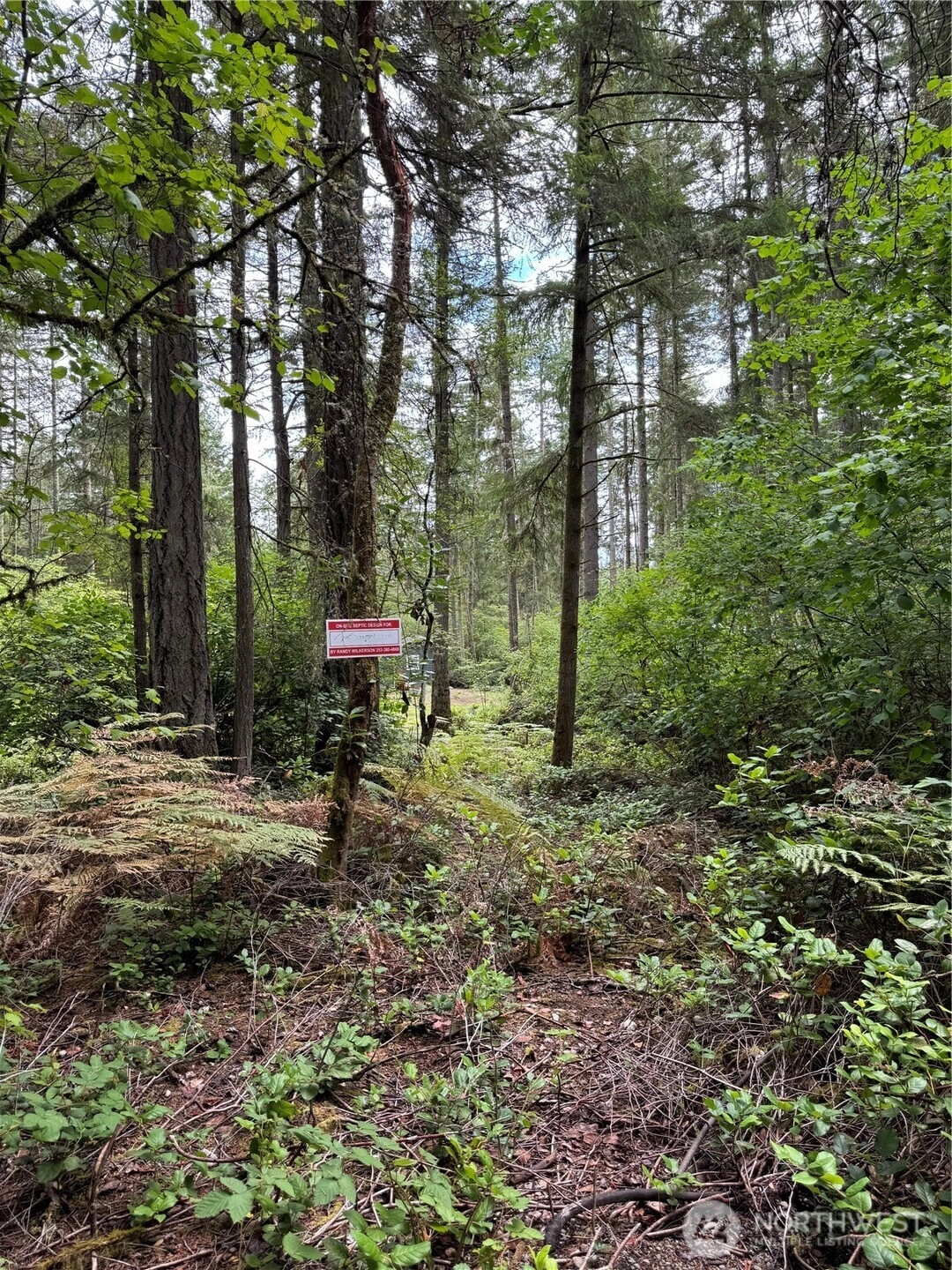 11913 Country Club Dr Unit  Anderson Island WA 98303