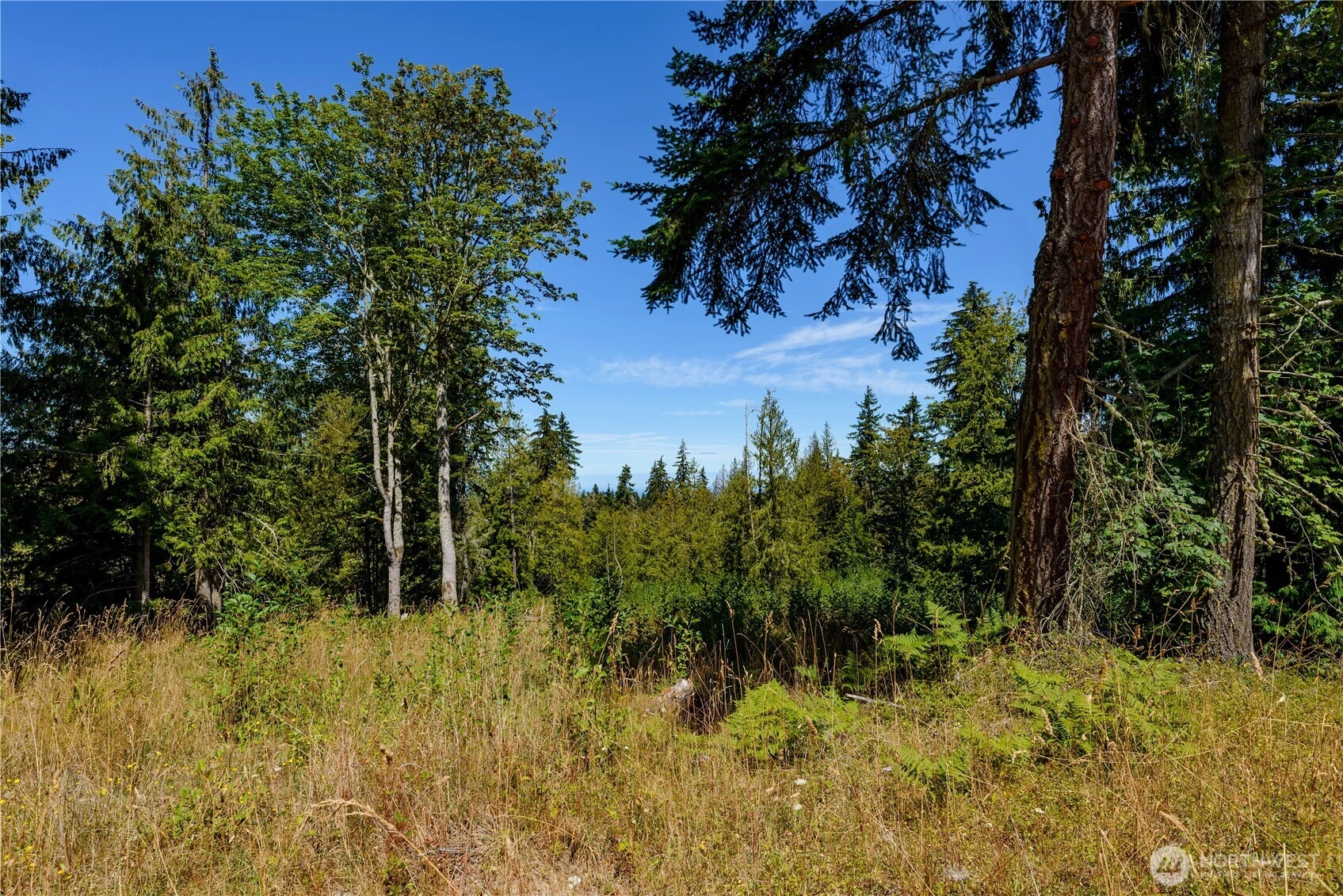 1 Township Line Rd Port Angeles WA 98362