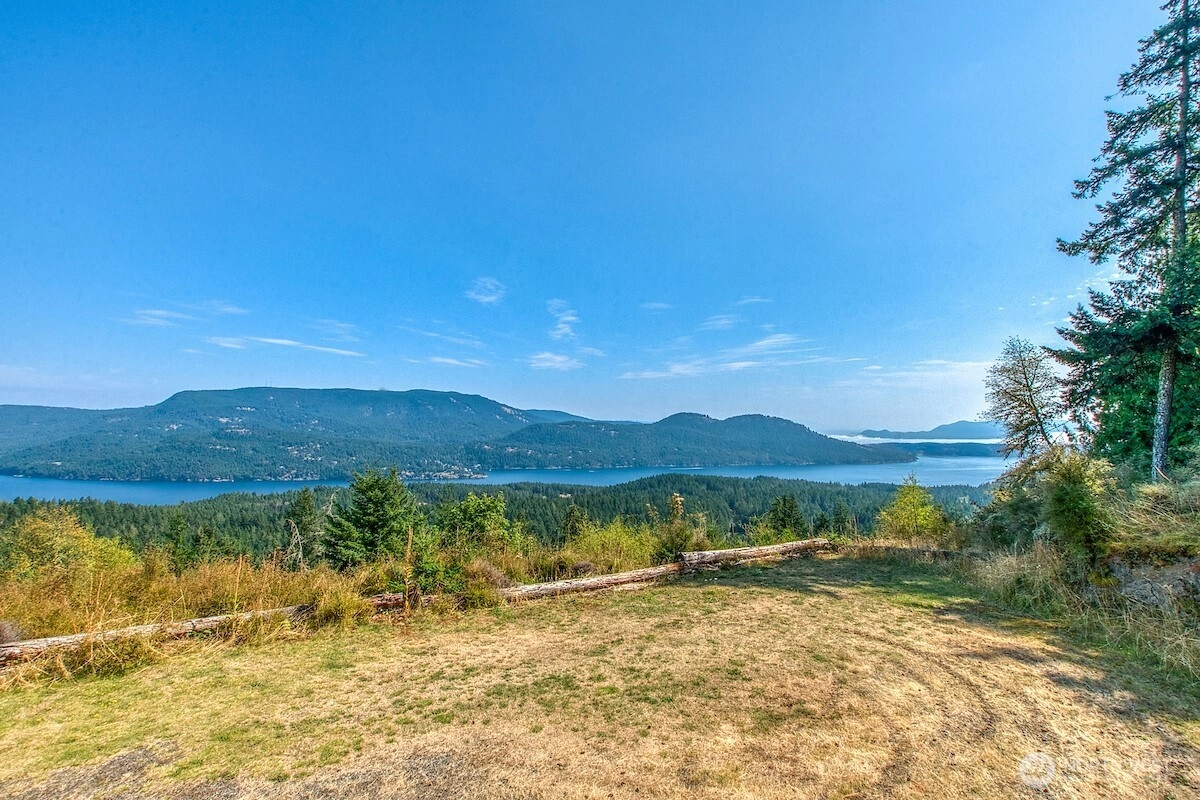 1637 Spring Hill Rd Unit  Orcas Island WA 98245