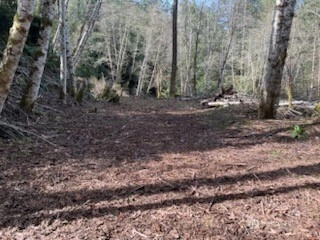 61 E Woods Pl Belfair WA 98528