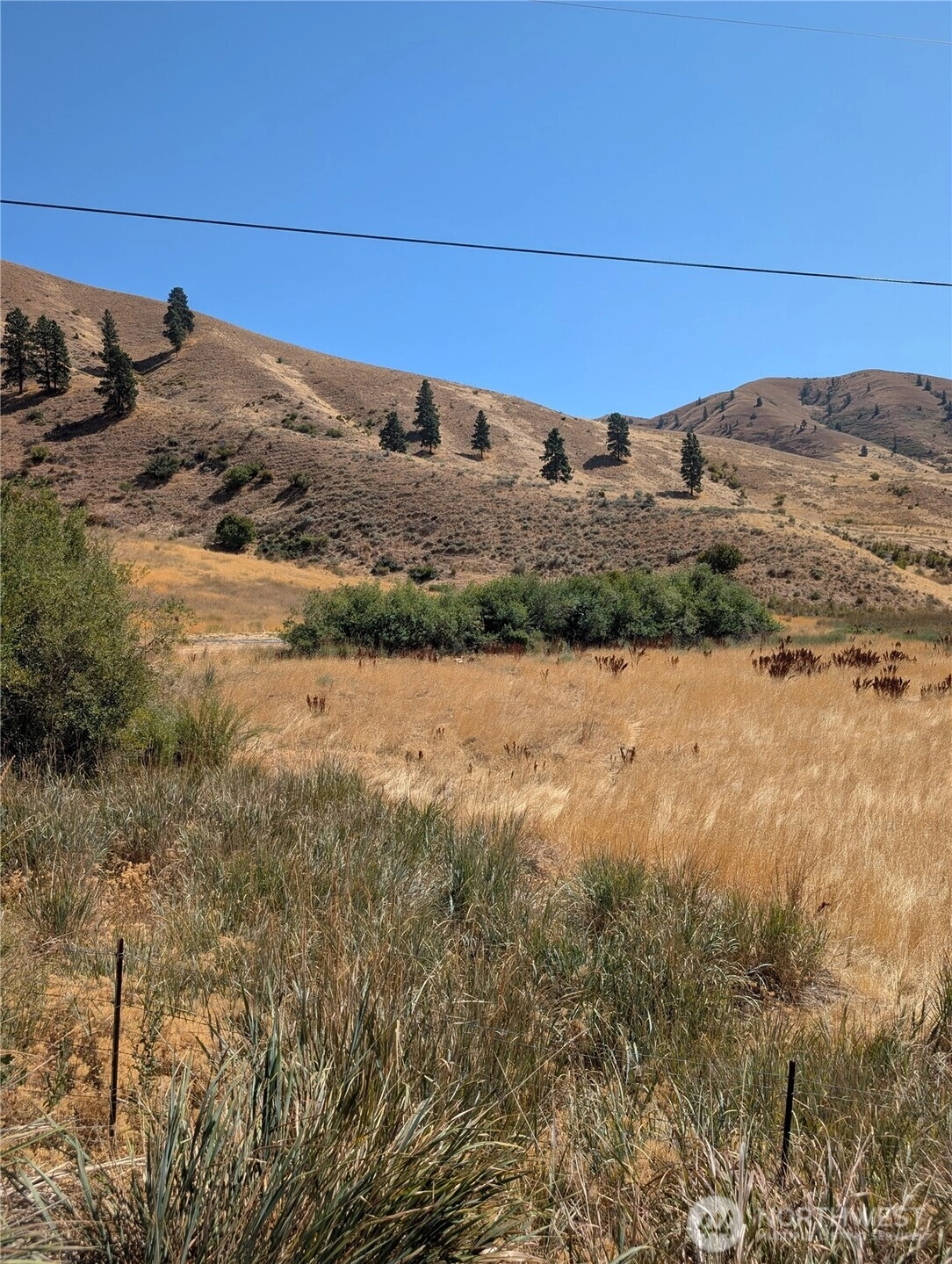 8 Nahahum Canyon Rd Unit  Cashmere WA 98815