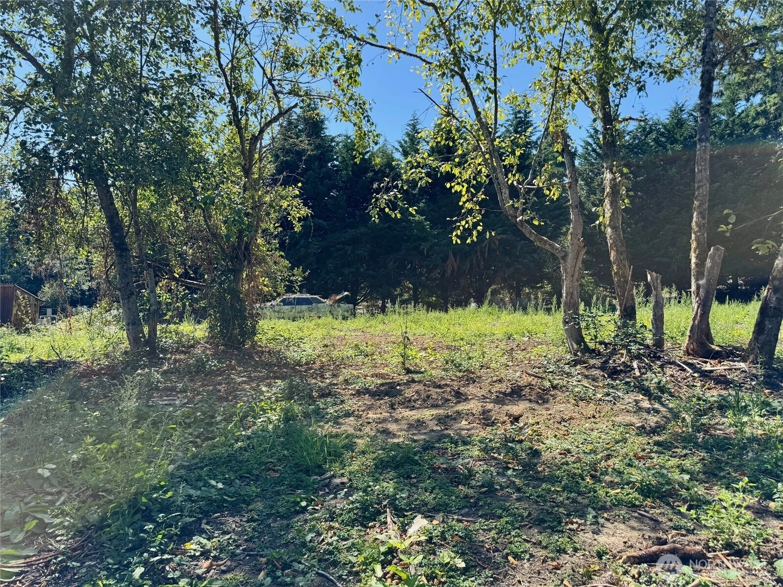 16500 107th Pl NE Bothell WA 98011