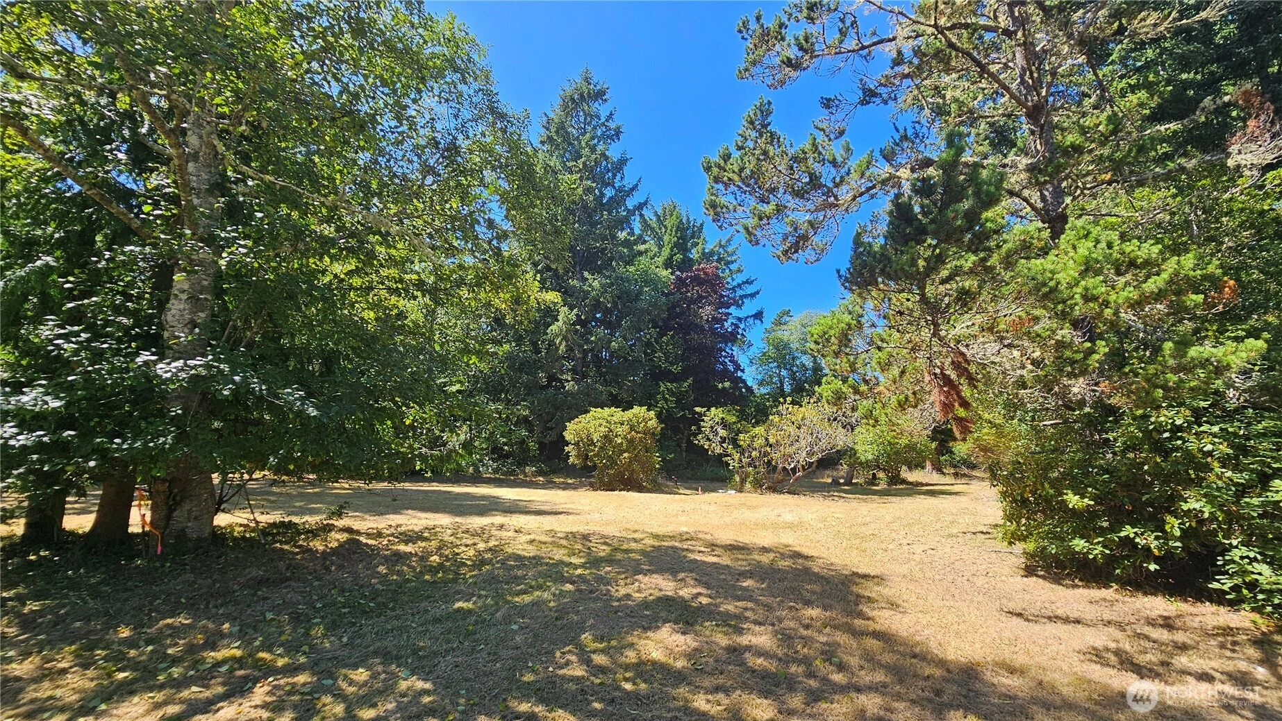 29801 L Ln Unit  Ocean Park WA 98640