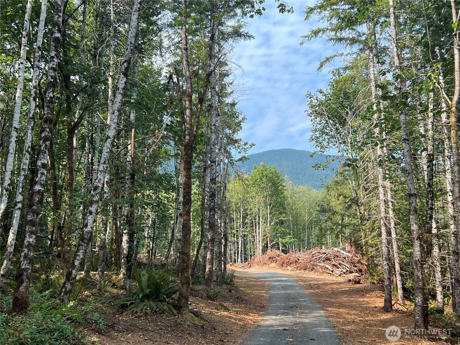 131 Buster Pl Quilcene WA 98376