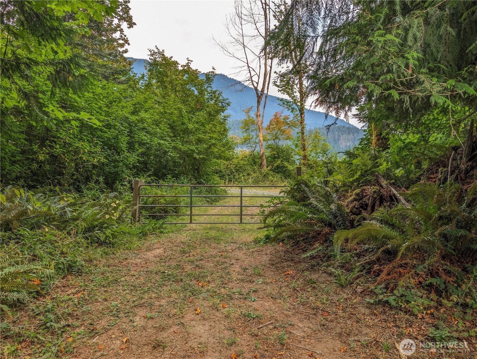 167 Burton Creek Rd Randle WA 98377
