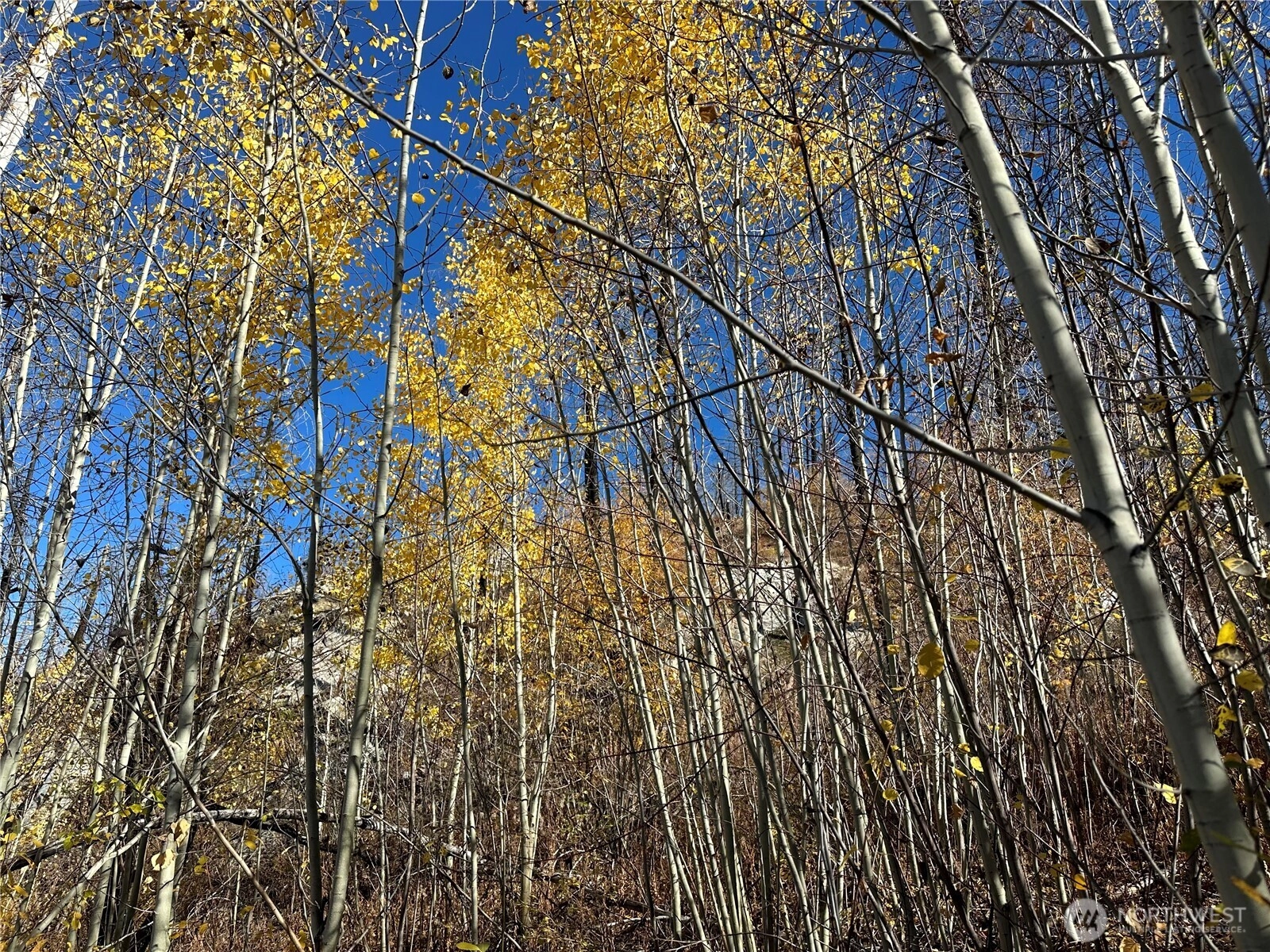 Tbd Evans Ranch Rd Omak WA 98849