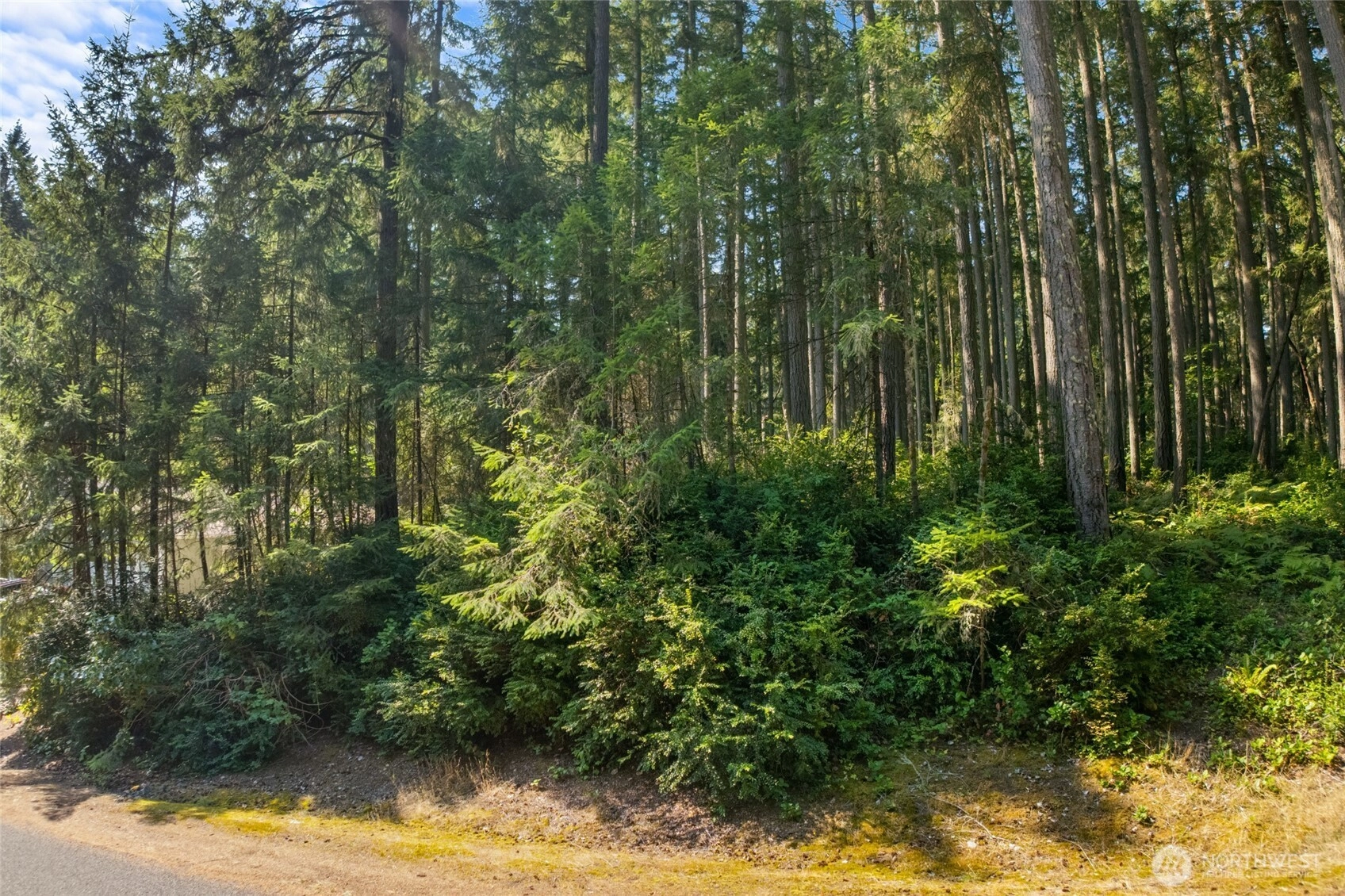 10018 Edgewood Dr Unit  Anderson Island WA 98303