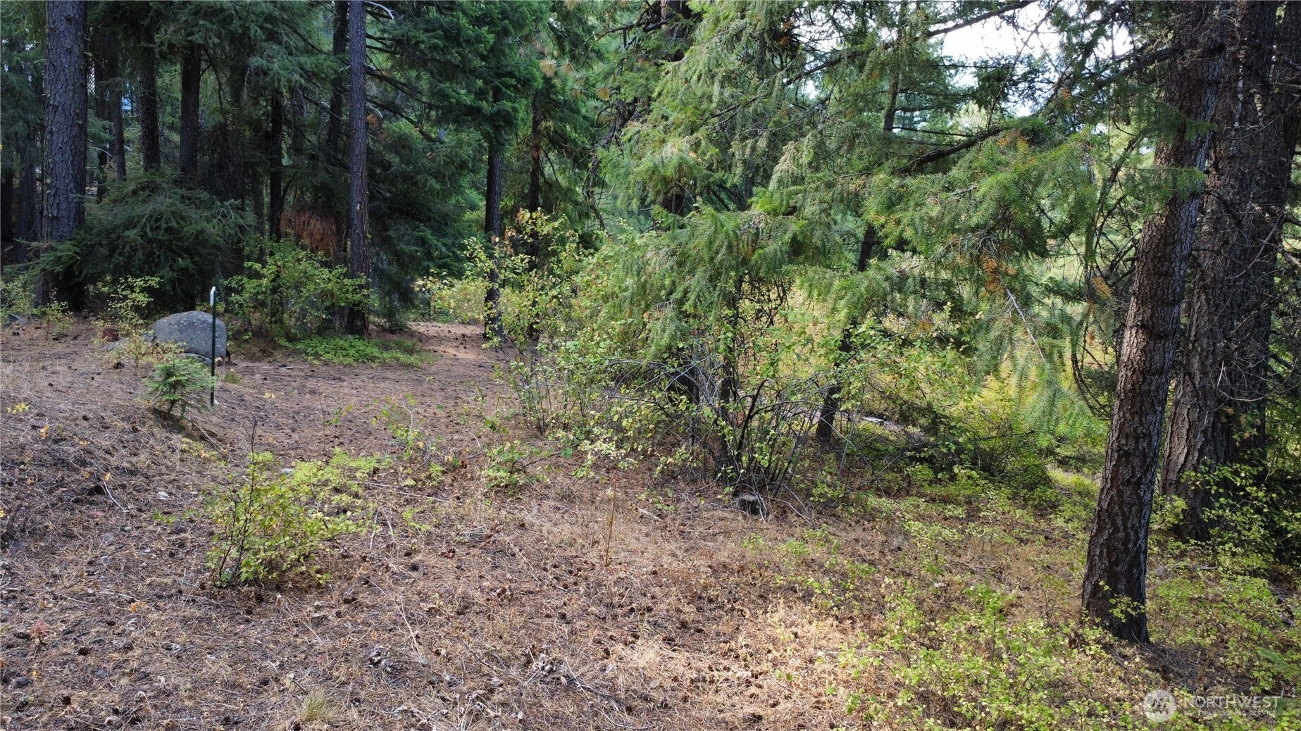 Highland Loop Unit  Ronald WA 98940