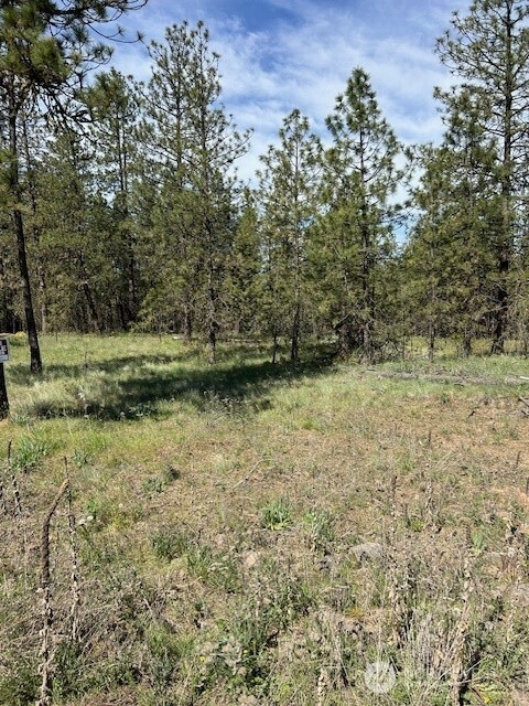Rocky Ridge Rd Unit  Davenport WA 99169