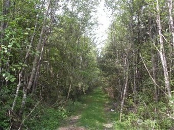 310 Oyler Rd Ethel WA 98542