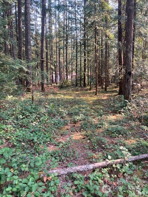 180 N Union Dr Hoodsport WA 98548